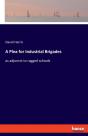 A Plea For Industrial Brigades - Preview
