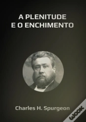 Capa do artigo A Plenitude E O Enchimento