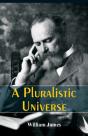 A Pluralistic Universe - Preview