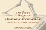 A Pocket History Of Human Evolution