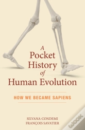 Capa do artigo A Pocket History Of Human Evolution