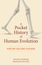 A Pocket History Of Human Evolution - Preview