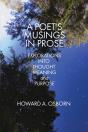 A Poet'S Musings In Prose - Preview