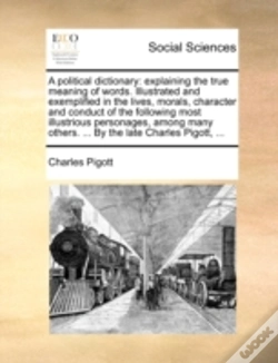 Capa do artigo A Political Dictionary: Explaining The T
