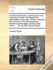 Capa do artigo A Political Dictionary: Explaining The T