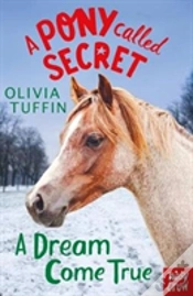 Capa do artigo A Pony Called Secret: A Dream Come True