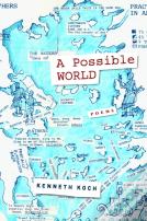 A Possible World