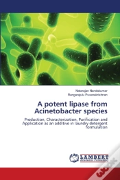 Capa do artigo A Potent Lipase From Acinetobacter Species