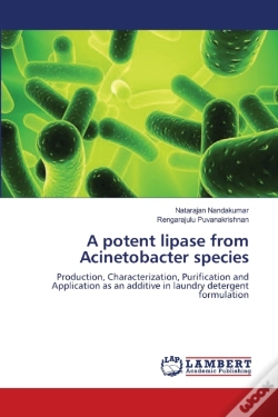 Capa do artigo A Potent Lipase From Acinetobacter Species