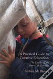 Capa do artigo A Practical Guide To Curative Education