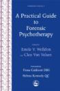 A Practical Guide To Forensic Psychotherapy - Preview