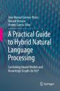 A Practical Guide To Hybrid Natural Language Processing - Preview