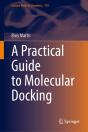 A Practical Guide To Molecular Docking - Preview
