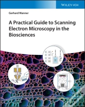 Capa do artigo A Practical Guide To Scanning Electron Microscopy In The Biosciences