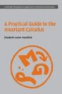 A Practical Guide To The Invariant Calculus - Preview
