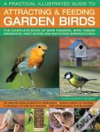 A Practical Illustrated Guide To Attracting & Feeding Garden Birds