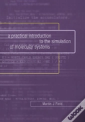 A Practical Introduction To The Simulation Of Molecular Systems