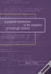 Capa do artigo A Practical Introduction To The Simulation Of Molecular Systems
