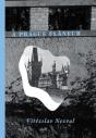 A Prague Flaneur - Preview