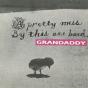 A Pretty Mess By This One Band - CD - Preview