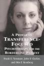 A Primer Of Transference-Focused Psychotherapy For The Borderline Patient - Preview