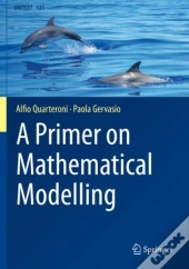 A Primer On Mathematical Modelling