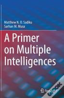 A Primer On Multiple Intelligences