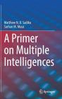 A Primer On Multiple Intelligences - Preview