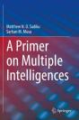A Primer On Multiple Intelligences - Preview