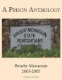 A Prison Anthology - Preview