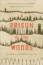 A Prison In The Woods - Preview