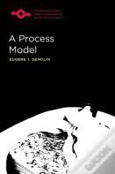 A Process Model