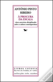 Capa do artigo À Procura da Escala