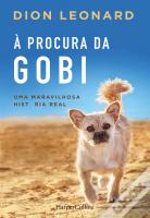 À Procura da Gobi