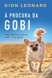 Capa do artigo À Procura da Gobi