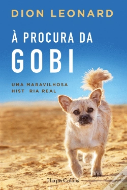 Capa do artigo À Procura da Gobi