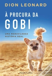 Capa do artigo À Procura Da Gobi