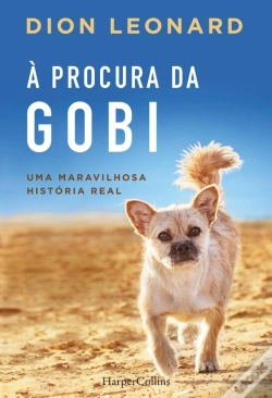 Capa do artigo À Procura Da Gobi