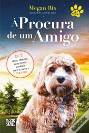Capa do artigo À Procura de um Amigo
