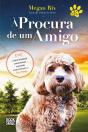 À Procura de um Amigo - Preview