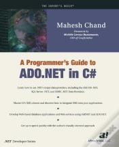 Capa do artigo A Programmer