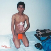 Capa do artigo A Promise - CD