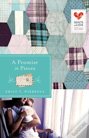 Capa do artigo A Promise In Pieces