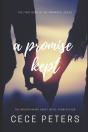 A Promise Kept - Preview