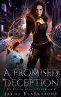 A Promised Deception - Preview