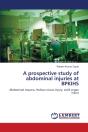 A Prospective Study Of Abdominal Injuries At Bpkihs - Preview