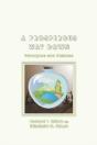 A Prosperous Way Down - Preview