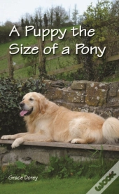 A Puppy The Size Of A Pony