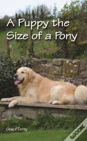 Capa do artigo A Puppy The Size Of A Pony
