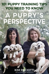 A Puppy'S Perspective